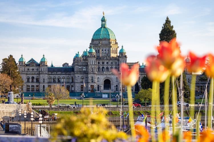 Scenic Victoria City Tour