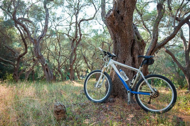 Mountain Biking