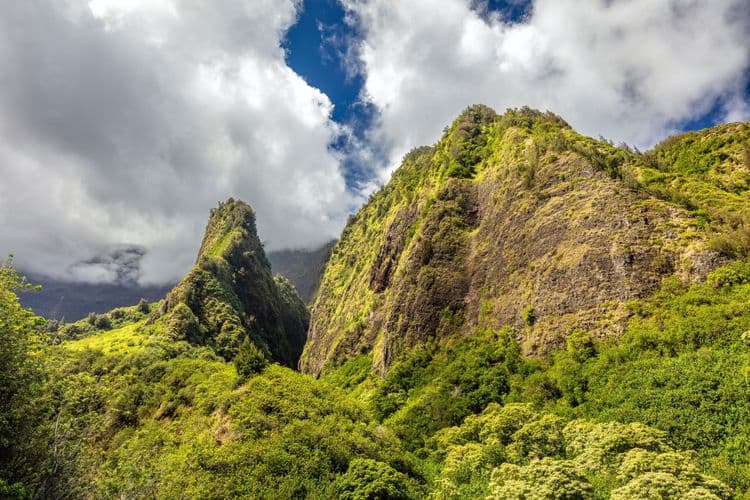 Iao Valley & Maui Ocean Center