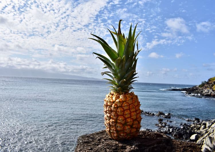 Maui Gold Pineapple Experience