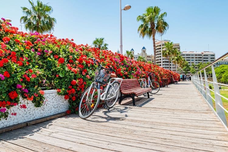 Valencia By Bike