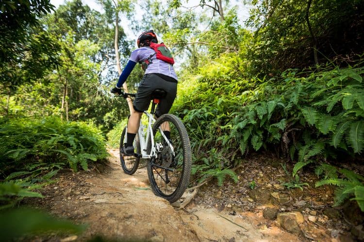 Rainforest Bicycle Tour