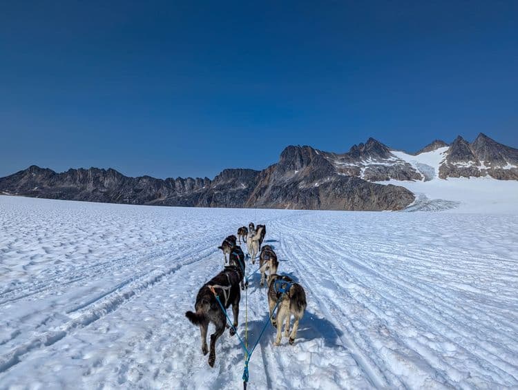 Icefield Flightseeing and Dogsledding