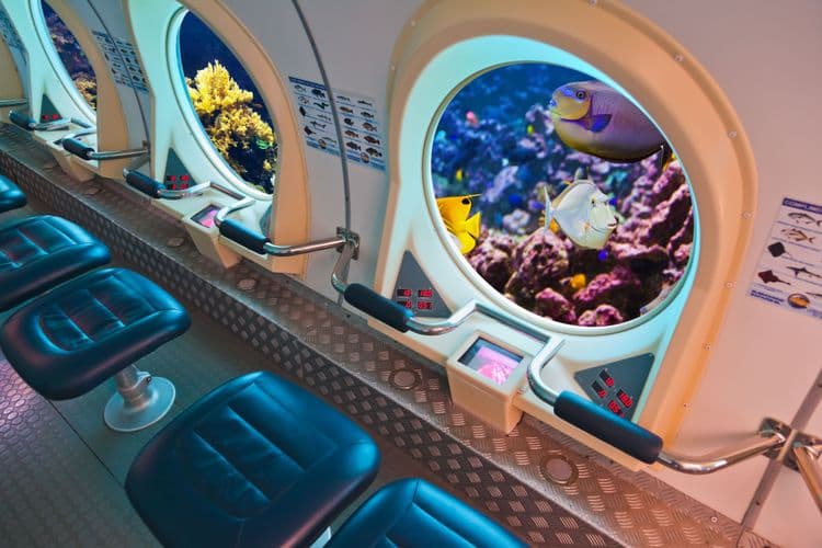 Underwater World By Submarine