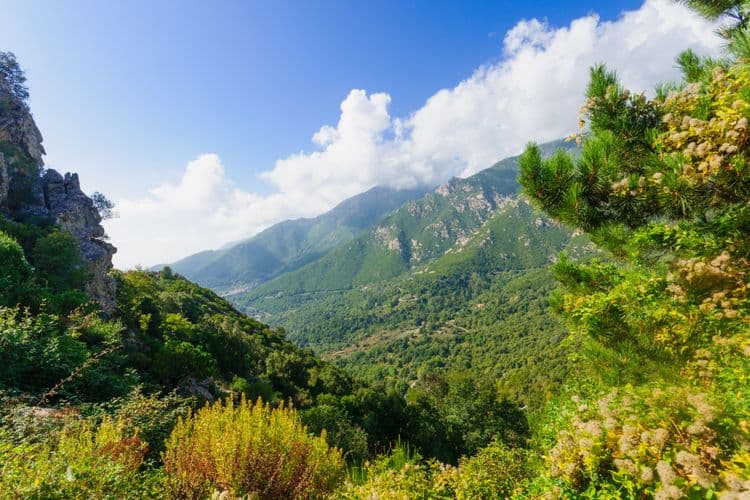 Oe-the Perfumed Isle and Prunelli River Gorges