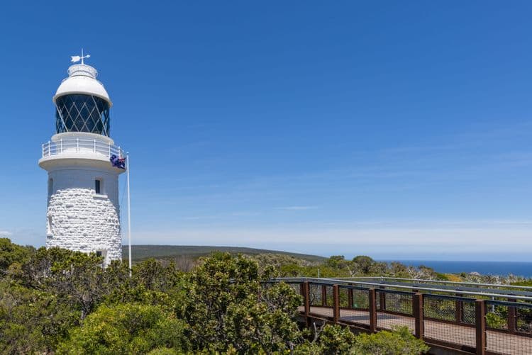 Cape Naturaliste & Wine Tasting