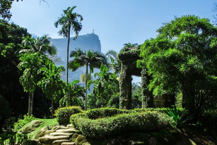 Botanical Gardens & Tijuca Forest 4x4 Drive