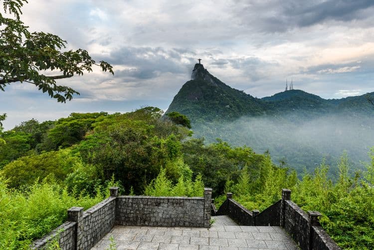 An Eco-Forest in the Middle of Rio