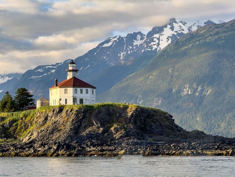 Whales & Lighthouse Tales