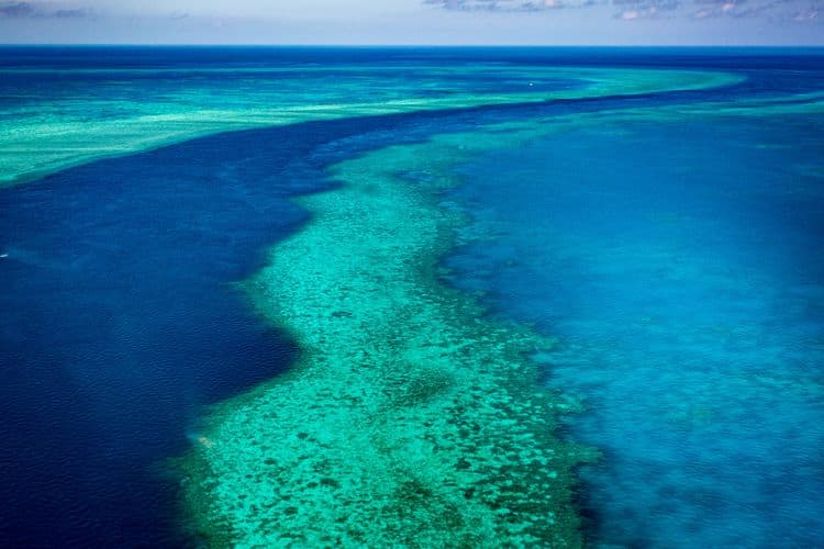 Best Of Airlie Beach: The Great Barrier Reef Experience