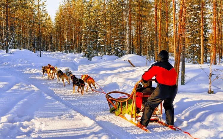 An Enchanting Evening At Husky Lodge Overland - Double Occupancy Per Person