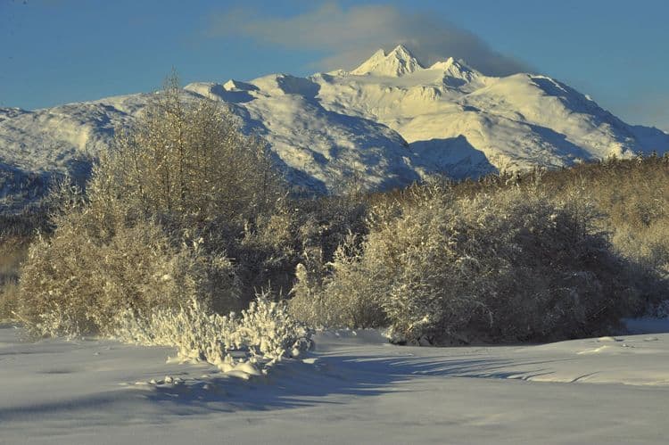 Easy Chilkat Valley Scenic Drive