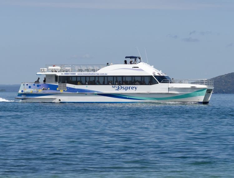 Port Stephens Dolphin Watching Cruise