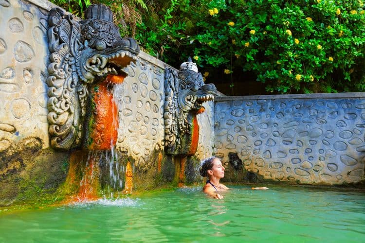 Relaxing Hot Spring & Dinner