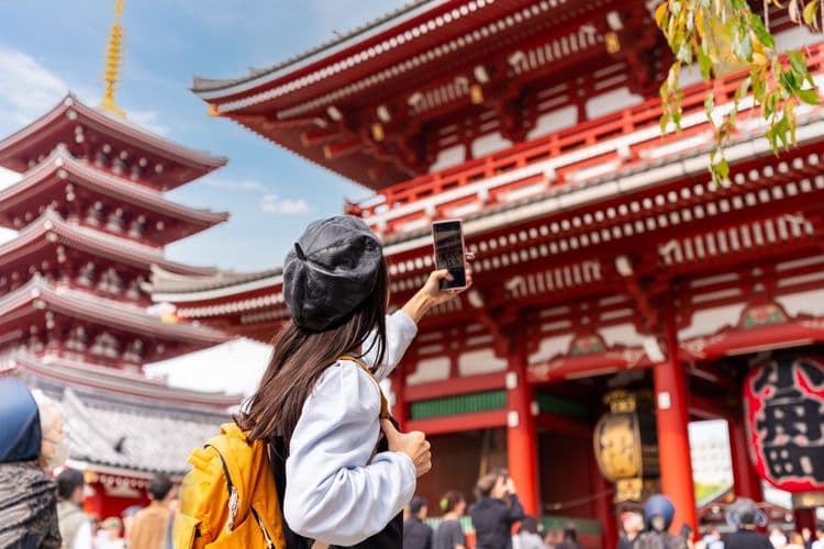 Highlights of Tokyo & Western Lunch