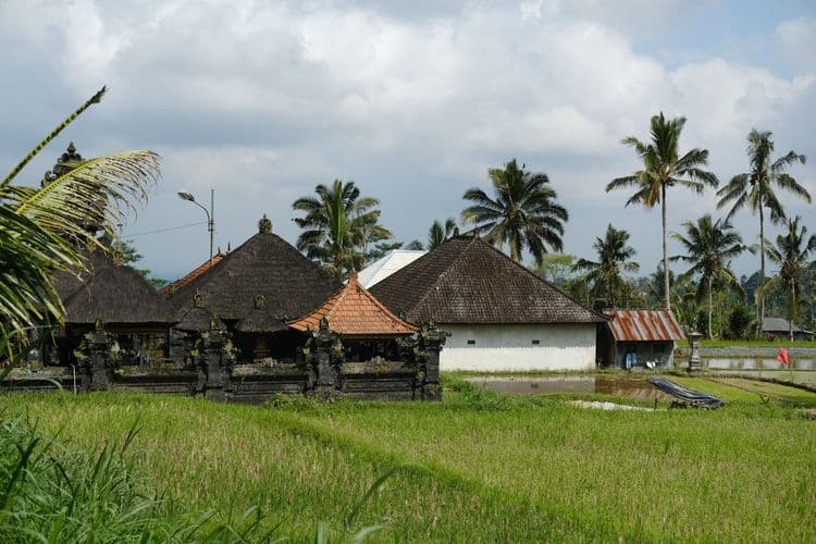 Balinese Countryside and local Lifestyle
