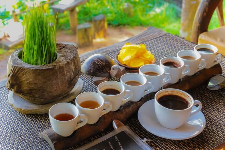 Panoramic Bali with Luwak Coffee Tasting