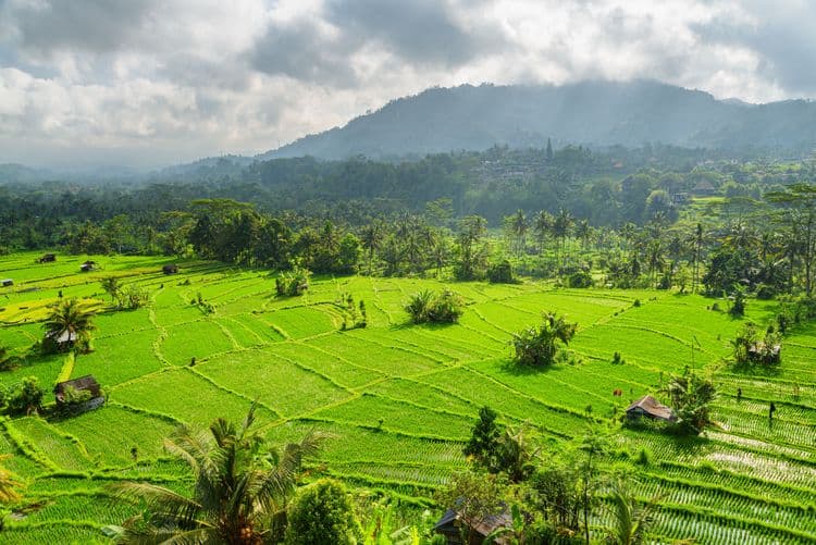 Interior Beauty of Bali