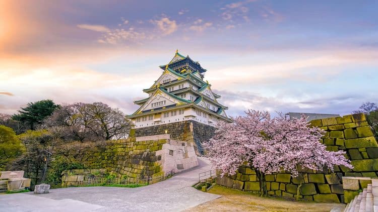 Osaka Highlights