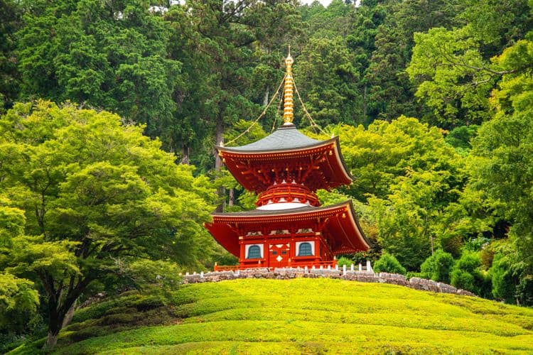 Katsuo-ji Temple & Kuromon: Buddhist Reflections and Local Market