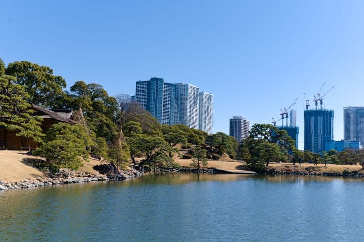 Tokyo Gardens and Legendary Landmarks (Tour & Haneda Airport Transfer)