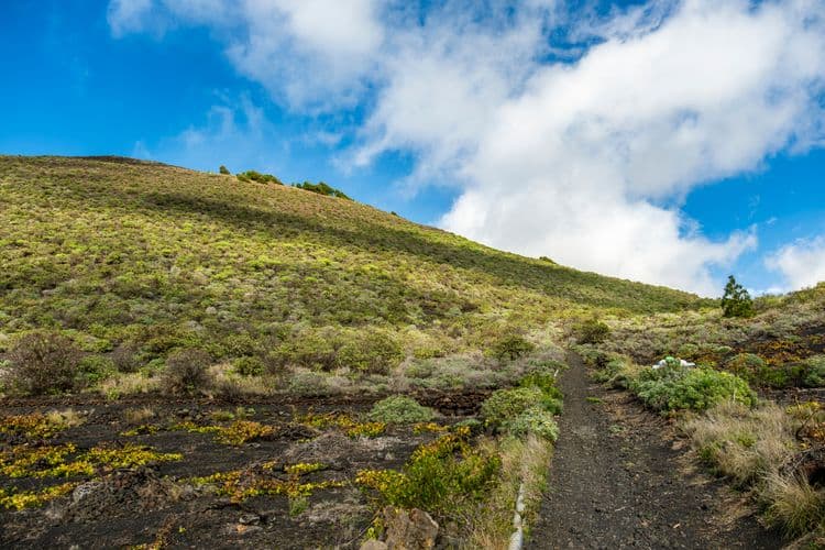 Lava Field Hiking Adventure