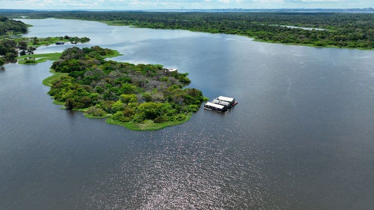 Full-Day Experience at the Amazon Ecopark Jungle Lodge