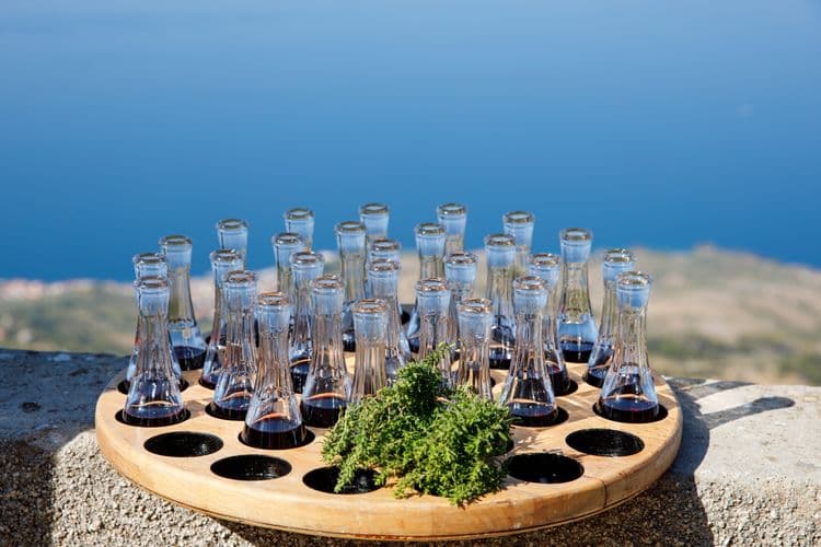 Discover Poreč and Taste Fine Croatian Wines